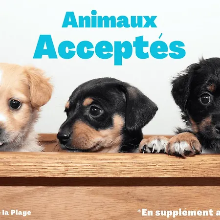 2 Proche - Wifi - Animaux Acceptes - Fr-1-323-453 Apartament Saint-Jean-de-Monts