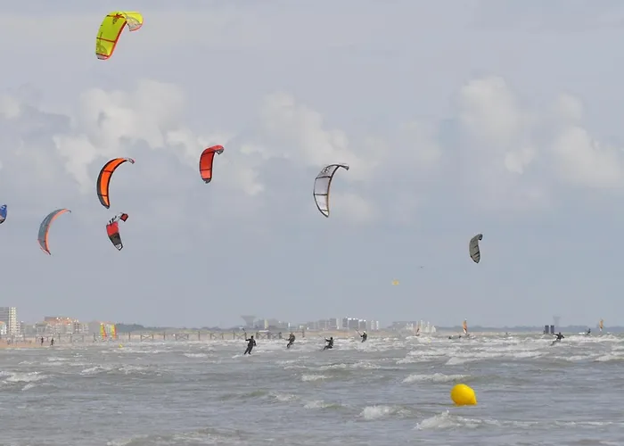 2 Proche - Wifi - Animaux Acceptes - Fr-1-323-453