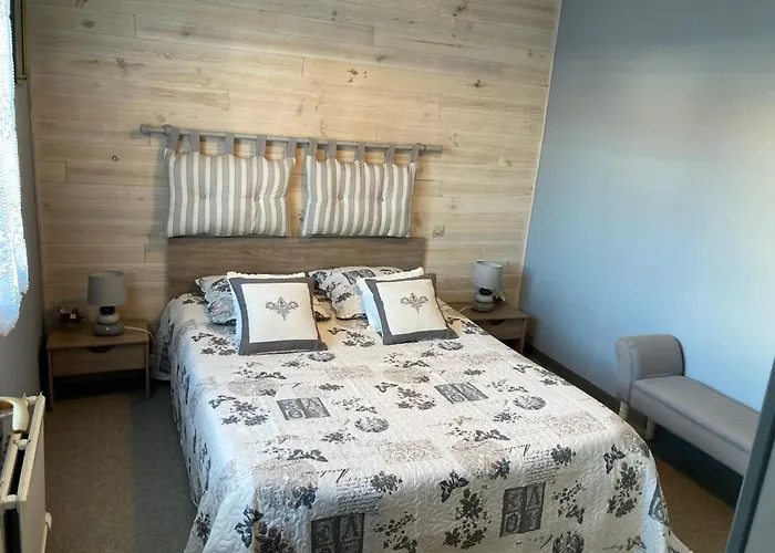 דירה 2 Proche - Wifi - Animaux Acceptes - Fr-1-323-453 סן ז'אן דה מון